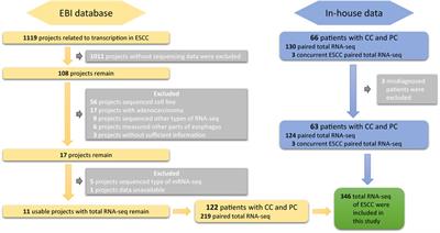 DASES: a database of alternative splicing for esophageal squamous cell carcinoma
